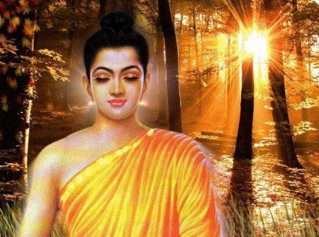 Khẳng định tính - Kết luận